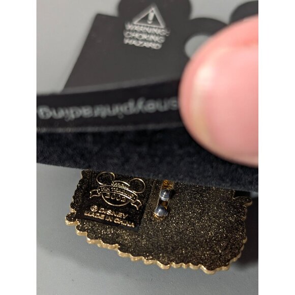 Disney 2002 Splash Mountain Slider Trading Pin NEW - Picture 5 of 6